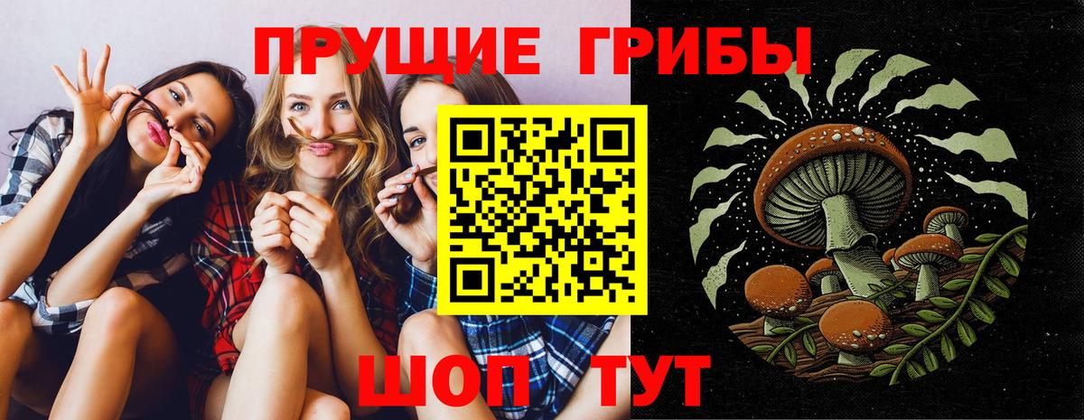 Псилоцибиновые грибы прущие грибы Нефтекамск